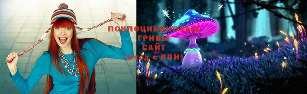эйфоретик Баксан